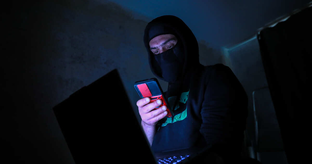 В Совфеде обозначили самые популярные способы мошенничества в интернете