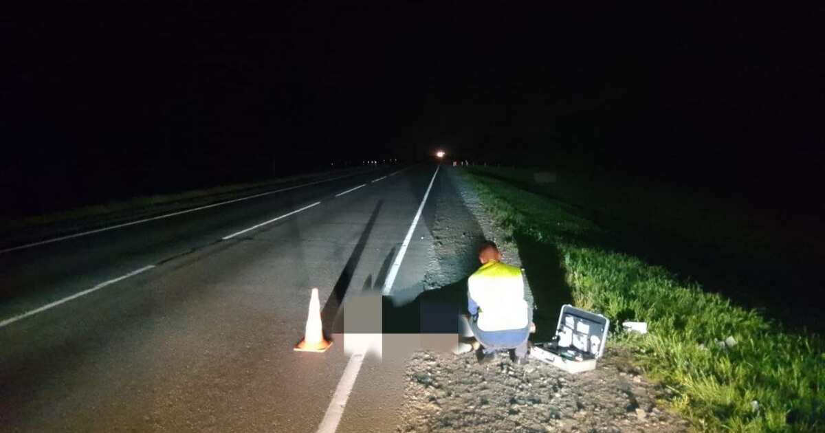 В дубае на обочине дороги нашли. Дорога фото. Фото на трассе ночью. Ночная трасса из машины.