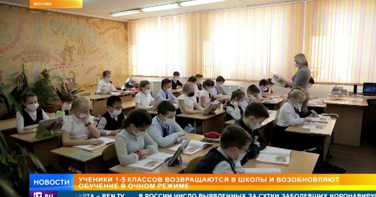 Образование 24 рф