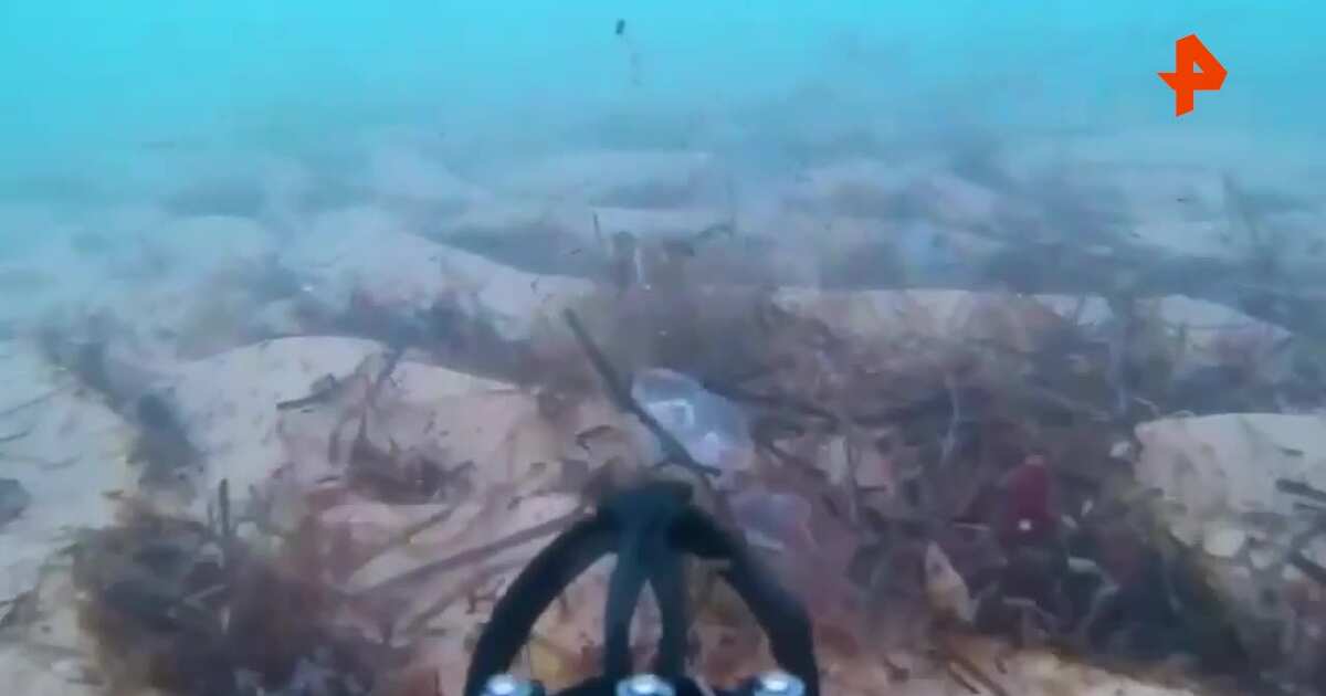 Фото мазута на дне черного моря Власти сообщили об отсутствии мазута на морском дне около Бугазской косы в Анапе