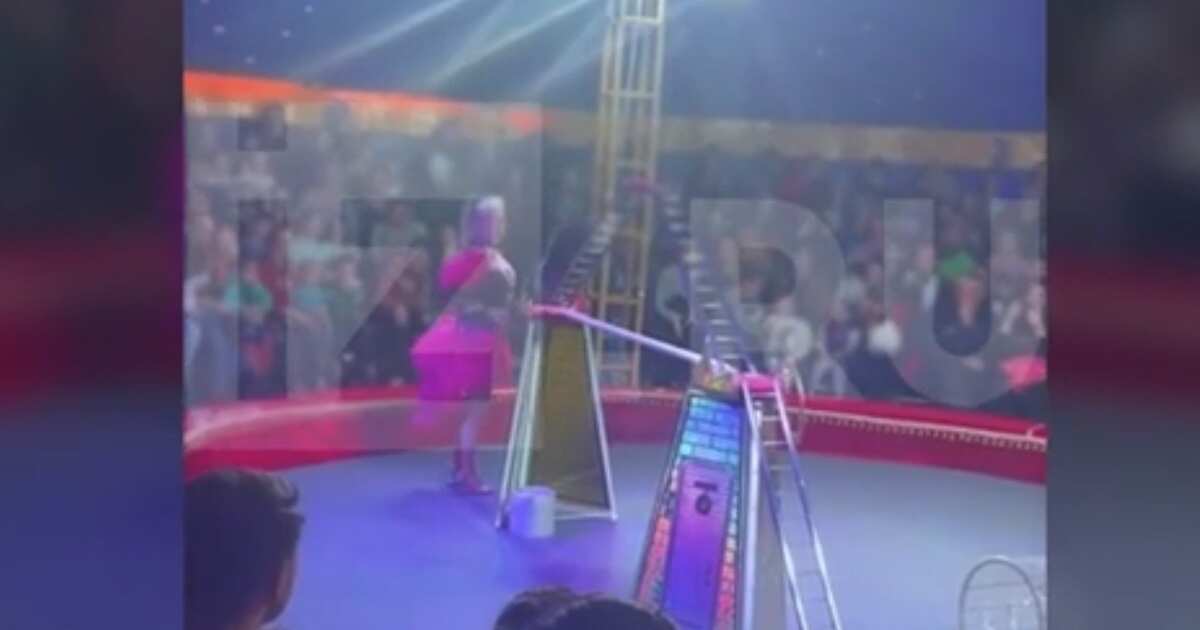 Трибуна в цирке рухнула после притопа: Момент сняли на видео В поселке
