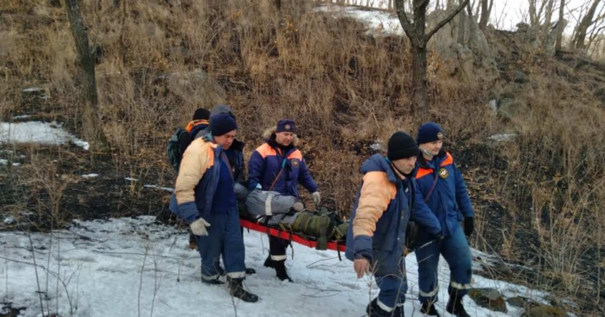 Медведица напала на автомобиль