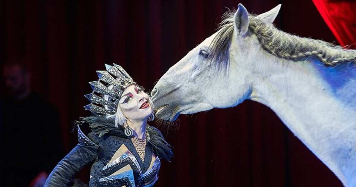 Причина смерти артистки цирка влады. Цирк Никулина дрессировщица лошадей.