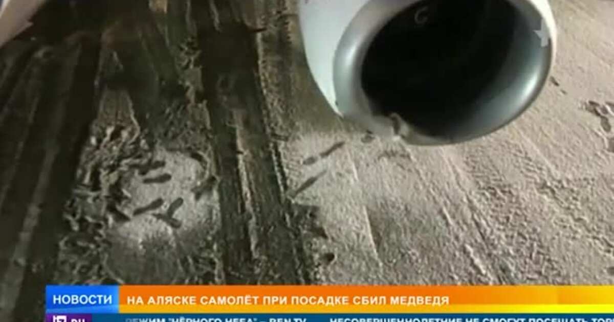 Сколько самолетов сбил сталин. Экстренная посадка Боинг 737 в Шереметьево. Мобилизованный сбил самолет. Инцидент с посадкой Boeing 737 в Минске. Крамаренко сбил самолет.