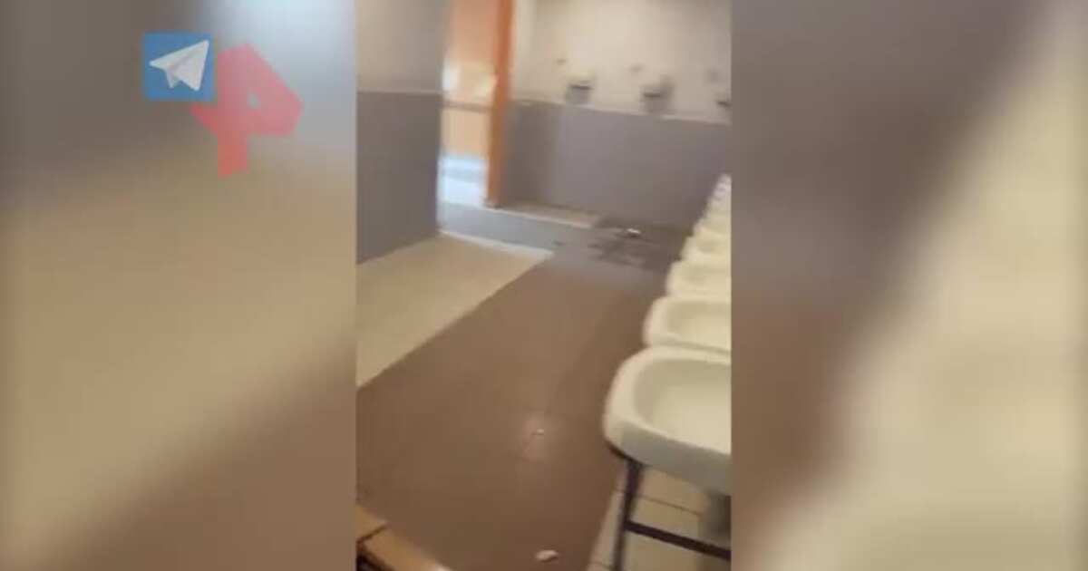 Раздеватор без блюра. Казань стрельба в школе внутри. Взрыв в школе в Казани. В Казани взорвали школу. Школа 175 Казань после стрельбы.