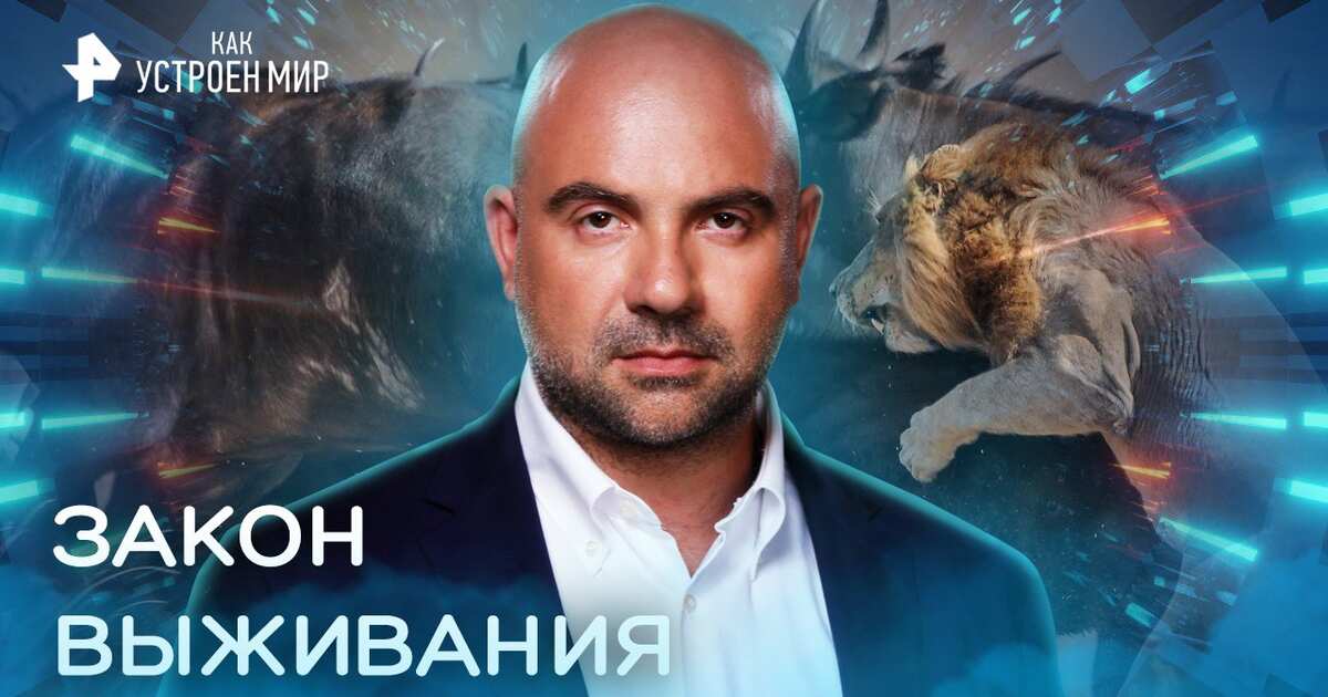 Как устроена мир с тимофеем баженовым