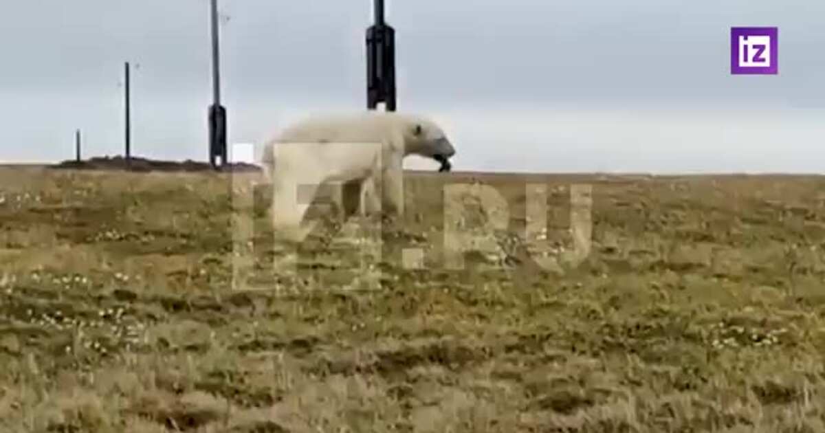 Черный спас белого