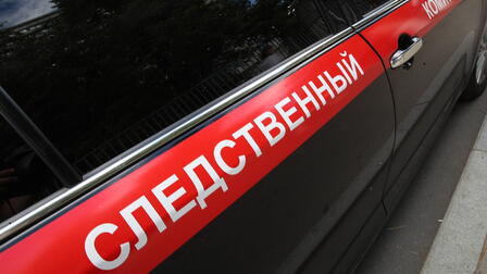 Раскрыли совершенное мигрантами изнасилование 10-летней давности