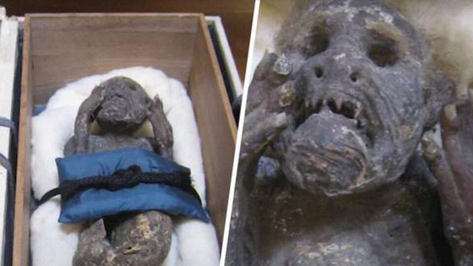 Ученые раскрыли тайну 300-летней священной мумии русалки (Фото, Видео)