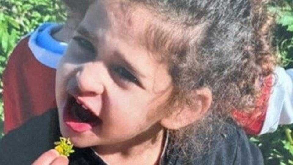 ХАМАС освободило 4-летнюю девочку с гражданством США