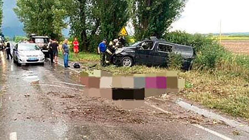 Три человека погибли из-за столкновения машины с деревом под Ростовом