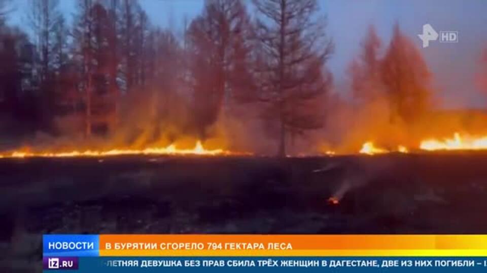 В Бурятии сгорели почти 800 гектаров леса