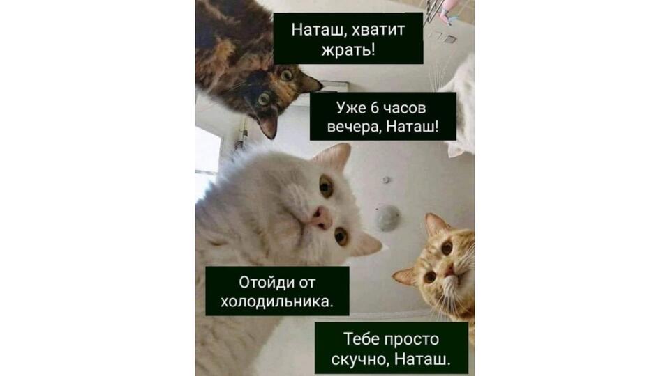 "Наташ, мы там все уронили": как один мем стал символом всех проблем. Фото: © 