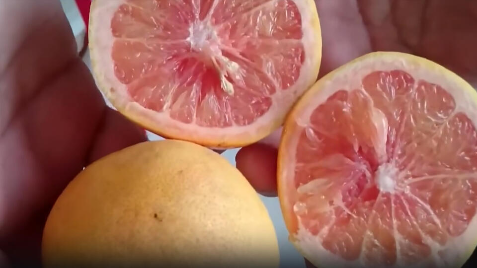Какие фрукты радиоактивные. Фото: © Кадр из программы "Невероятно интересные истории", РЕН ТВ
