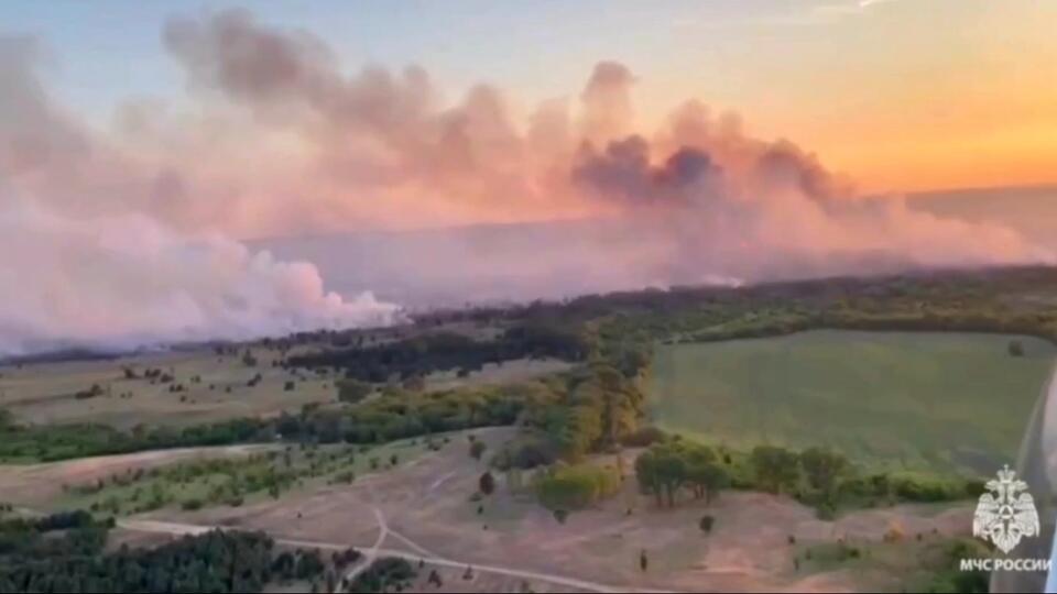 Пожар в лесничествах Ростовской локализован на 169 гектарах