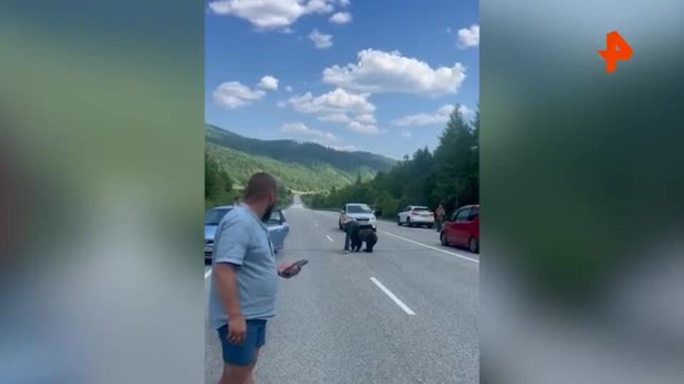 Медведь вышел к людям и попытался украсть обувь у мужчины в Иркутской области