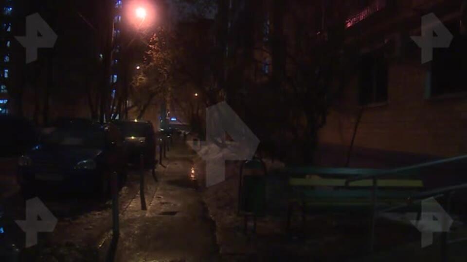 Видео с места гибели искусанной собаками школьницы в Москве