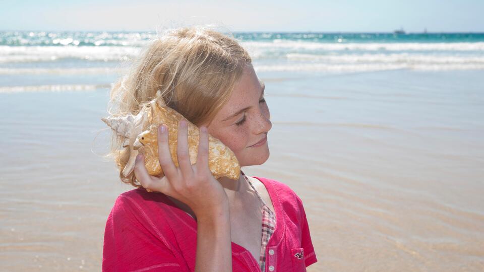 Откуда в ракушке шум моря. Фото: © www.globallookpress.com/uwe umstatter/imageBROKER.com