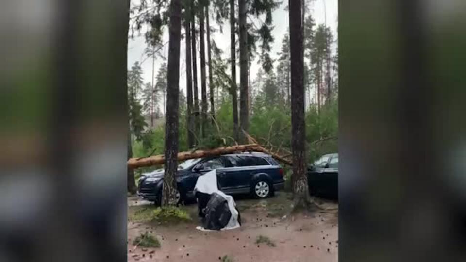 Ураган повалил деревья и затопил метро в Петербурге