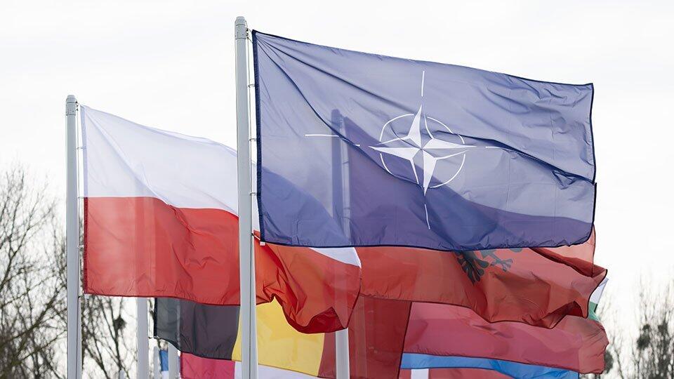В Минобороны Польши признали, что Киеву будет трудно вступить в НАТО