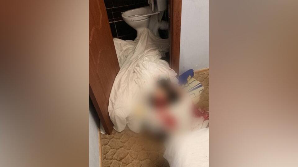 Зарезавший проститутку в Москве убил еще одну женщину в гостинице