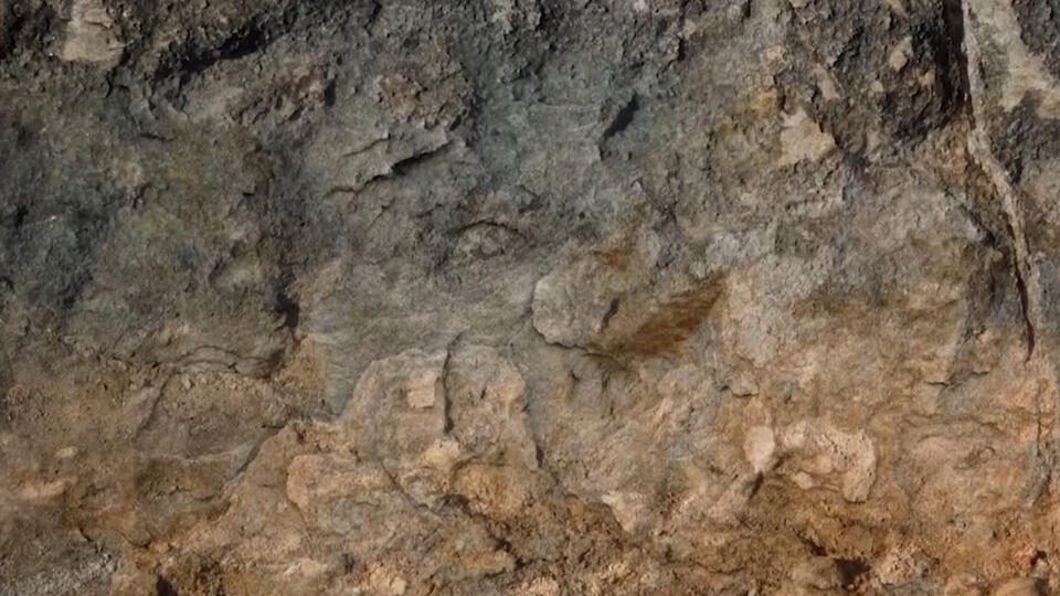 Что нашли на месте Куликовской битвы. Фото: © Кадр из программы "Легенды и мифы", РЕН ТВ