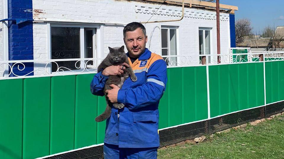 Кошка спасла своих котят и хозяев из пожара в Ростовской области