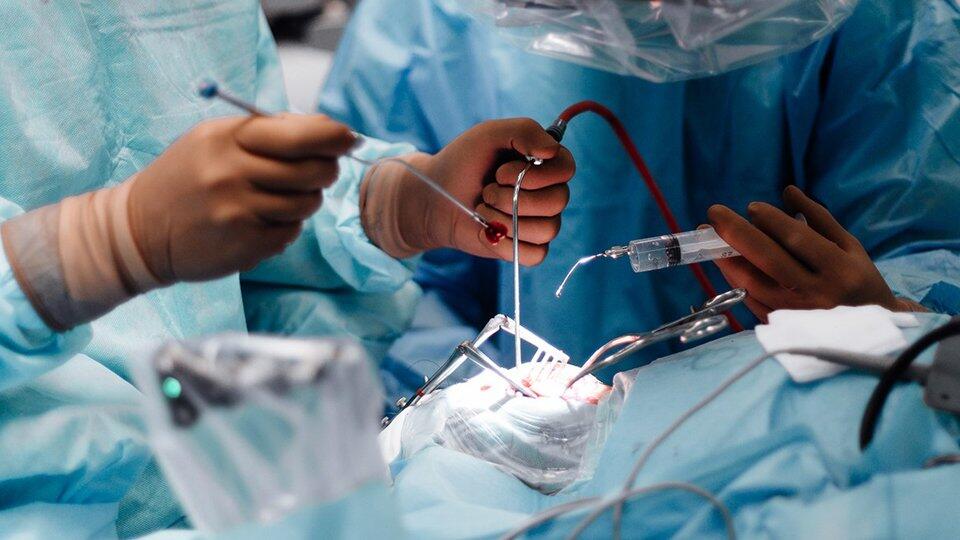 В Новосибирске хирурги удалили гигантскую опухоль мозга у девочки