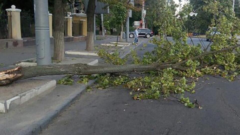 Ураган на ЧМЗ Челябинск. Повалило деревья в Санкт-Петербурге. Ураганный ветер в Питере. Ветер во дворе.