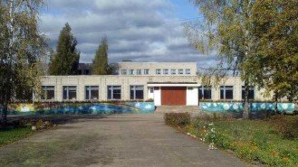 Риновирус нашли в школе под Новгородом, где заболели более ста детей