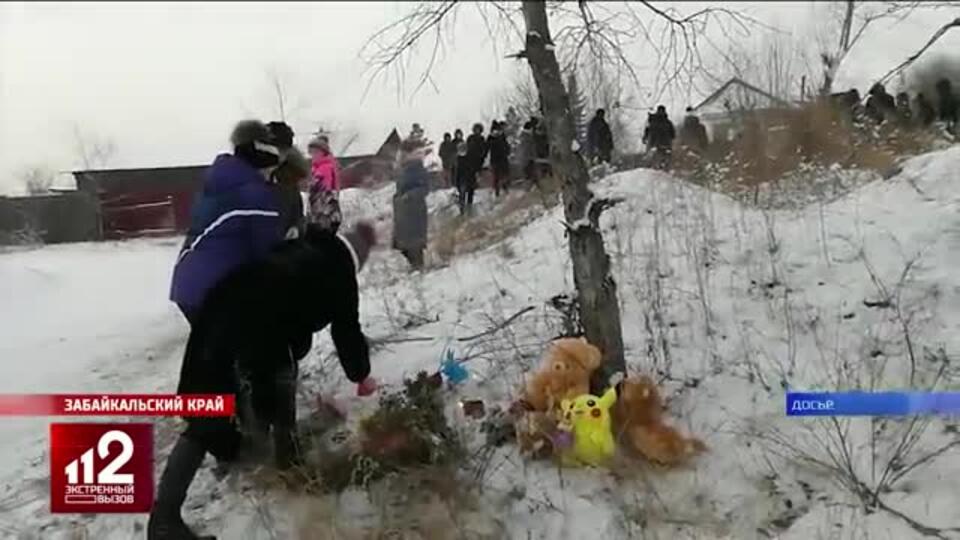 В Забайкальском крае суд вынес приговор хозяйке пса