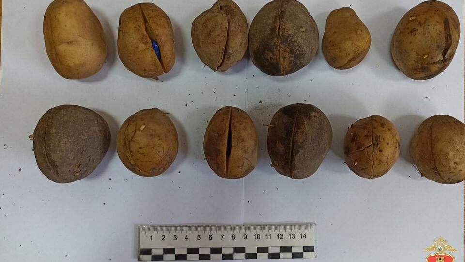 Фаршированную метадоном картошку нашли в Вышнем Волочке