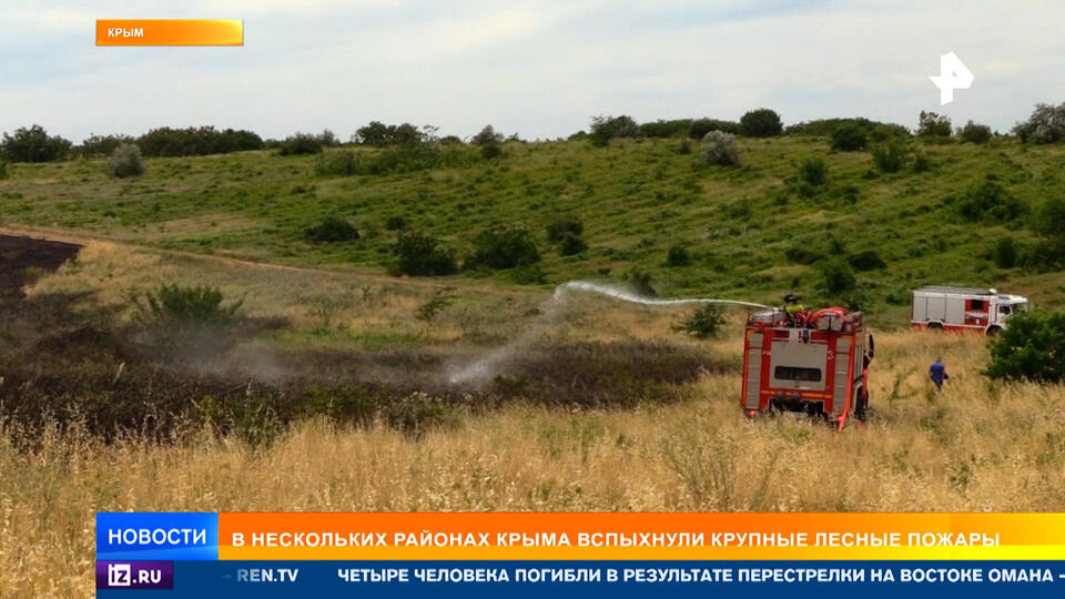 Пожарные «отвоевывают» у огня Карадагский заповедник в Крыму