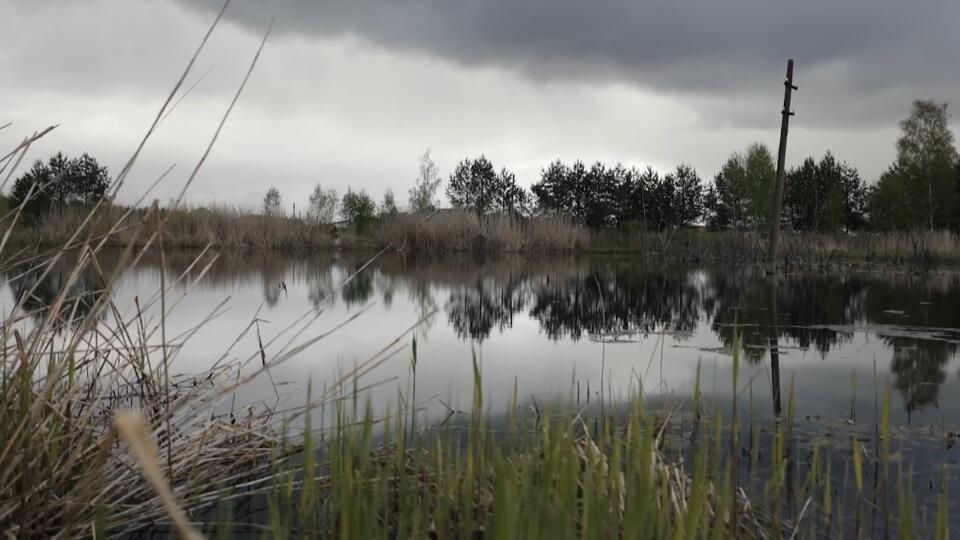 В тихом омуте щуки водятся: что, согласно поверьям, общего у щуки и сома. Фото: © Кадр из программы "Загадки человечества", РЕН ТВ