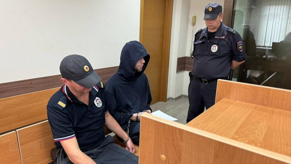 Убийцу собственных матери и бабушки заключили под стражу в Москве