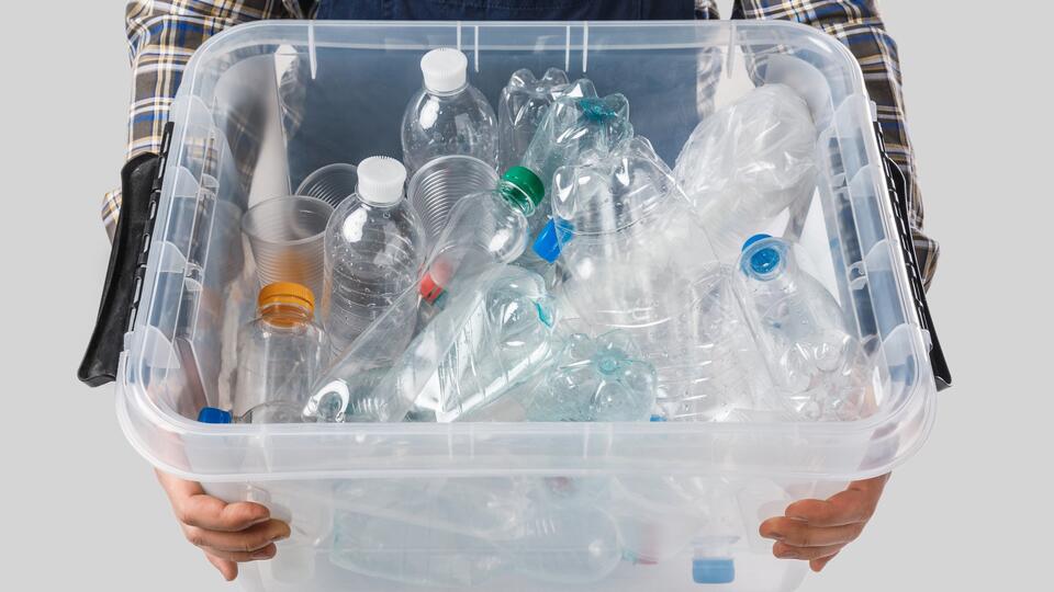 В Якутии обнаружили способных перерабатывать пластик жуков