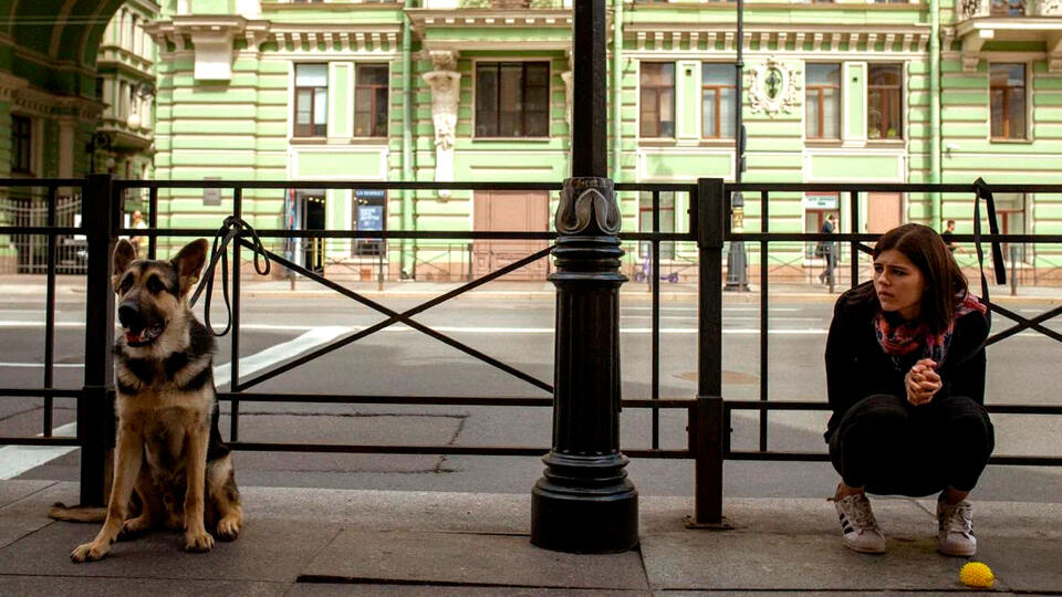 Кинофестиваль "Окно в Европу": какие фильмы стоит посмотреть. Фото: © Кадр из фильма "Догги", режиссер Вячеслав Росс