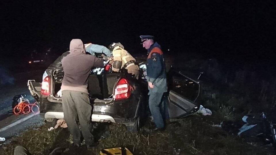 4 человека погибли в ДТП с лосем в Омской области