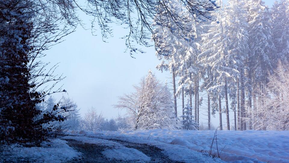Климатолог рассказала, какой будет зима в России