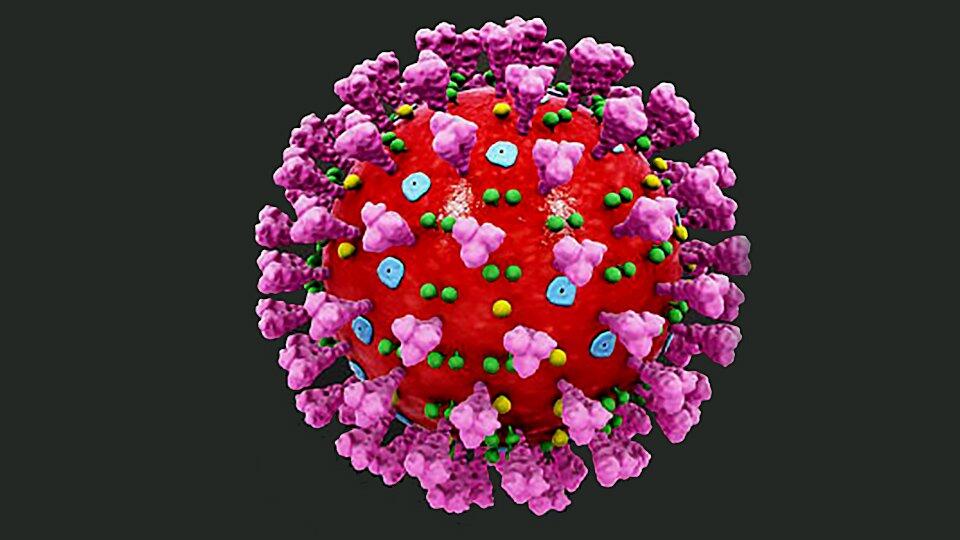 Ученые узнали срок жизни коронавируса на разных поверхностях ...
