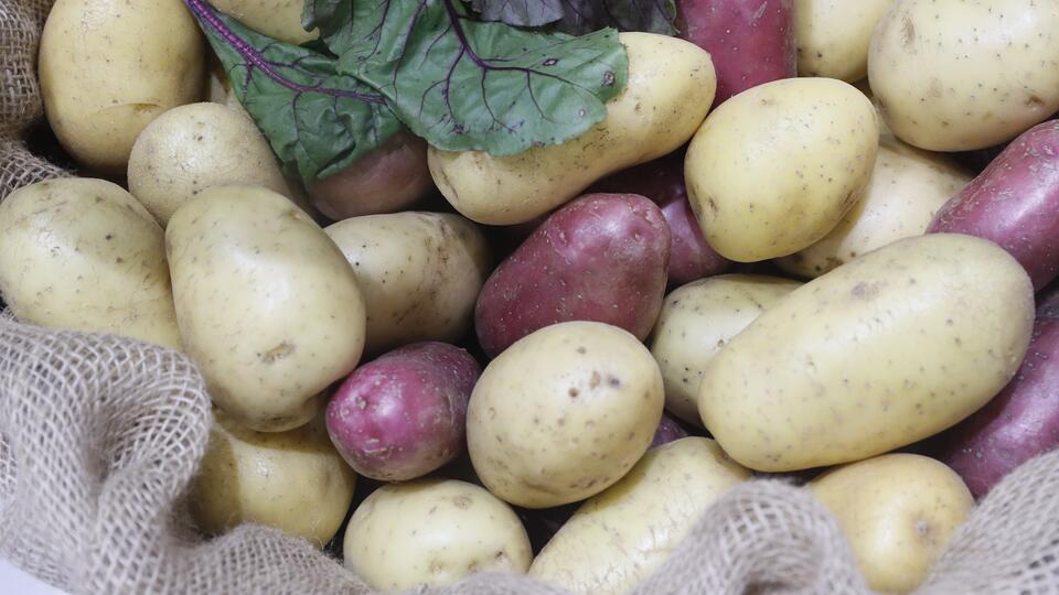 Исследователи узнали, что картофель помогает от гипертонии