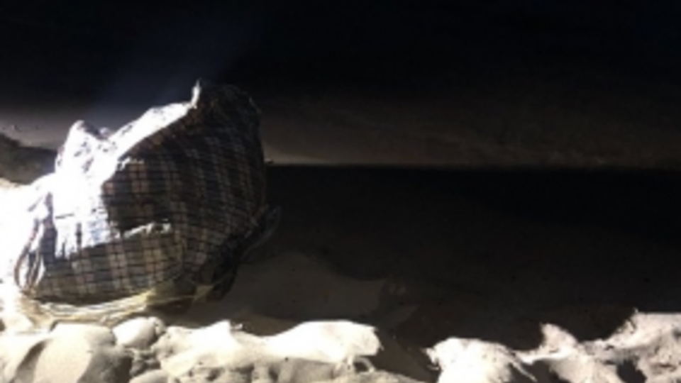 Обритая и связанная: что известно о найденной в сумке женщине в Самаре