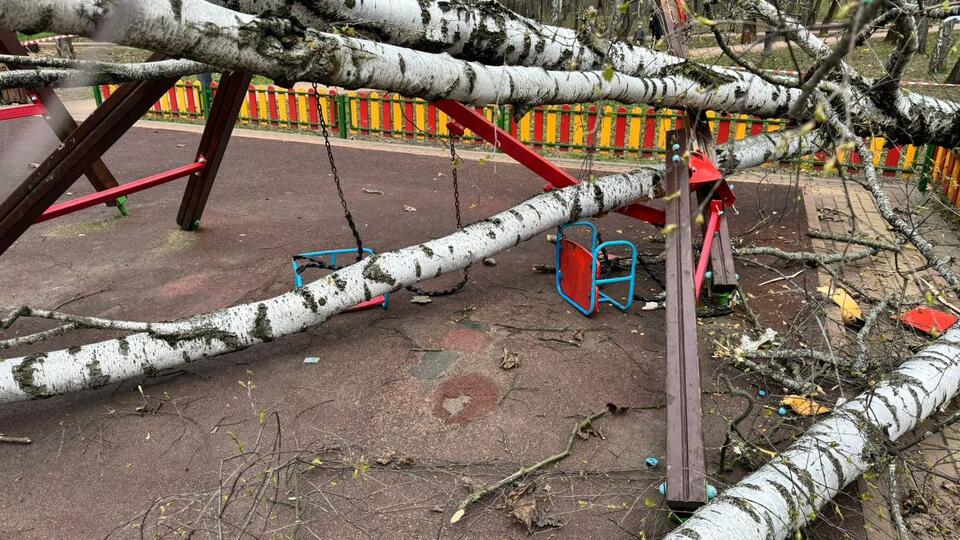 Дерево упало на трехлетнюю девочку на детской площадке в Красногорске