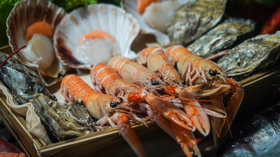 Почему не стоит налегать на морепродукты и мясо в отпуске. Фото: © ИЗВЕСТИЯ/Павел Волков