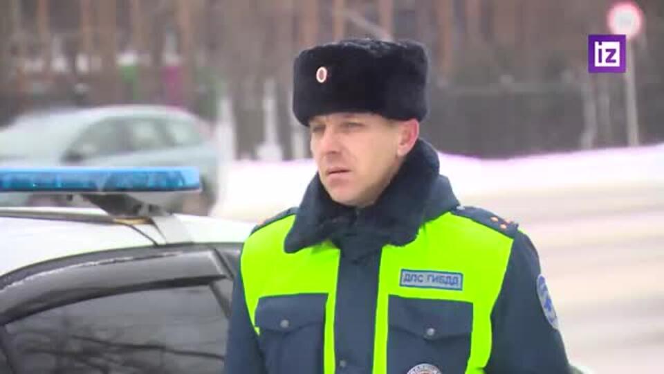 Полицейские рассказали, как задержали дебошира в Домодедово