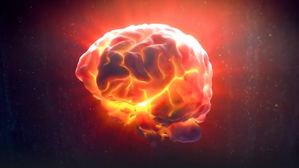 Игры разума: как мозг может предсказать событие и отправить в прошлое
