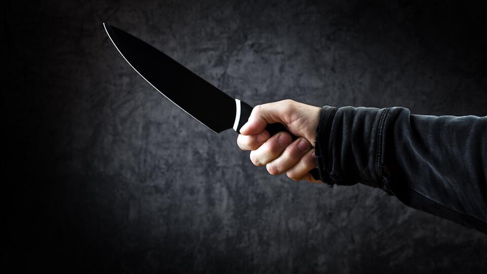 Профессор МГУ пырнул сына ножом в живот за замечание
