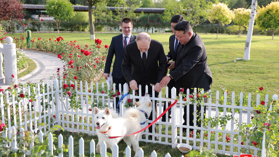 Песков рассказал о состоянии собак, подаренных Путину Ким Чен Ыном