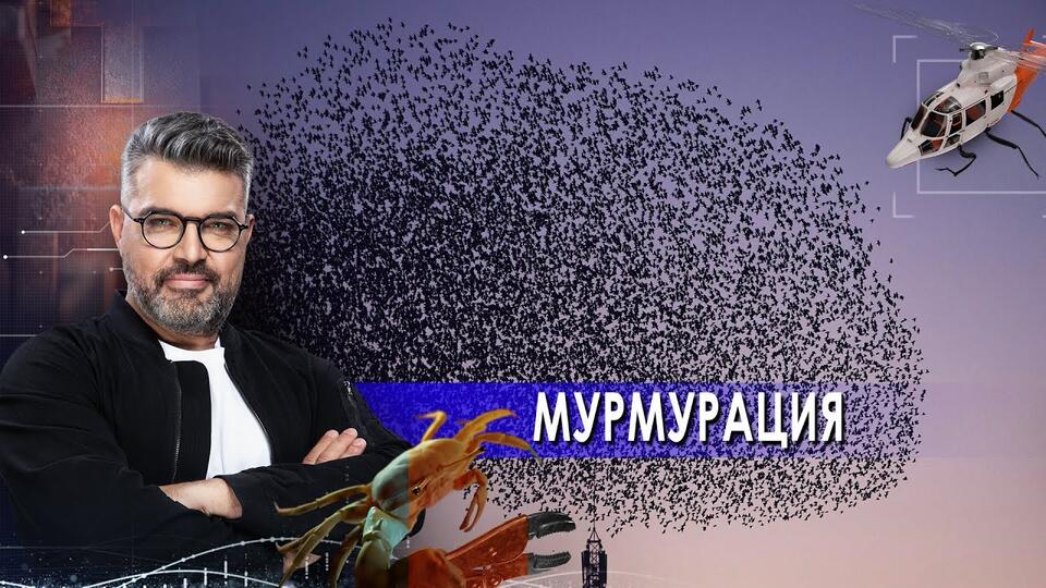 Мурмурация Знаете ли вы, что (08.06.2021).