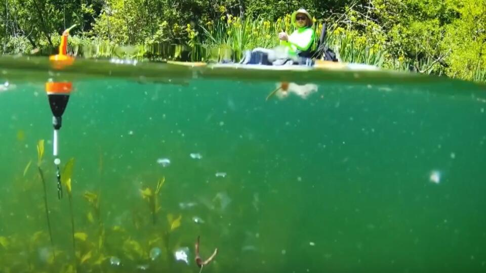 Почему цвет наживки нужно выбирать исходя из глубины водоема. Фото: © Кадр из программы "Знаете ли вы, что?", РЕН ТВ